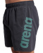 Arena Fundamentals Logo Boxer Asphalt/Water